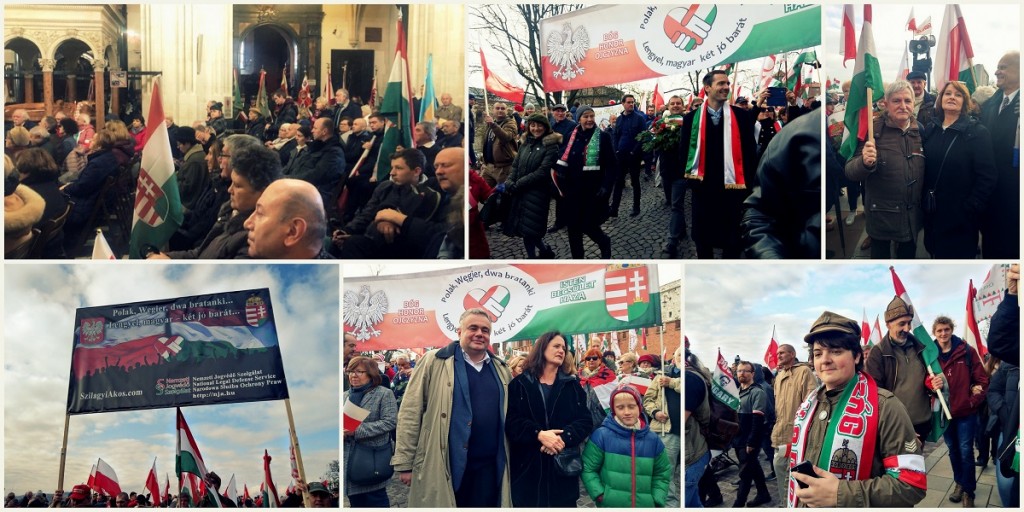 Serwis 11.11.2019