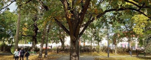 SUWAŁKI | Miesięcznica Tragedii Smoleńskiej 10.10.2023 r.