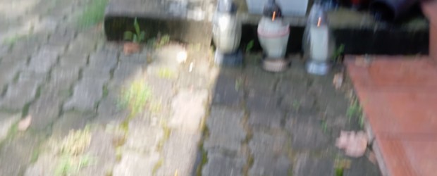 RYPIN | 81. rocznica ludobójstwa na Wołyniu