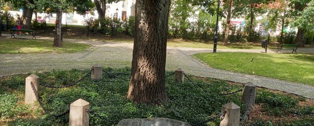 SUWAŁKI | Miesięcznica Tragedii Smoleńskiej